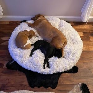 Meet your Posher, Donna